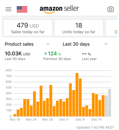 Amazon Seller results example